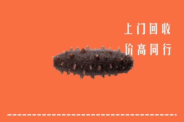 高价求购：临沧市镇康县回收海参